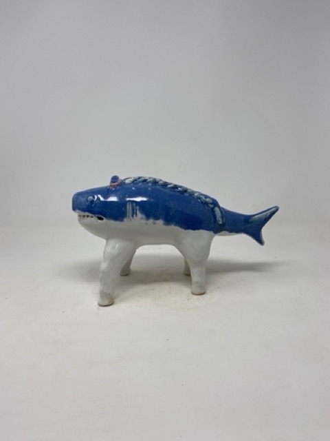 shark horse
